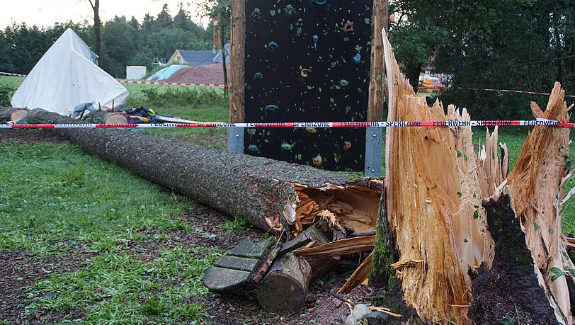 Ein umgestürzter Baum liegt am Mittwoch auf dem Gelände des Zeltlagers bei Rickenbach. Ein umgestürzter Baum liegt am Mittwoch auf dem Gelände des Zeltlagers bei Rickenbach.