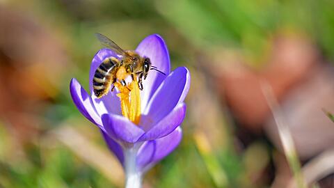 Die Temperaturen in Bayern steigen weiter.
