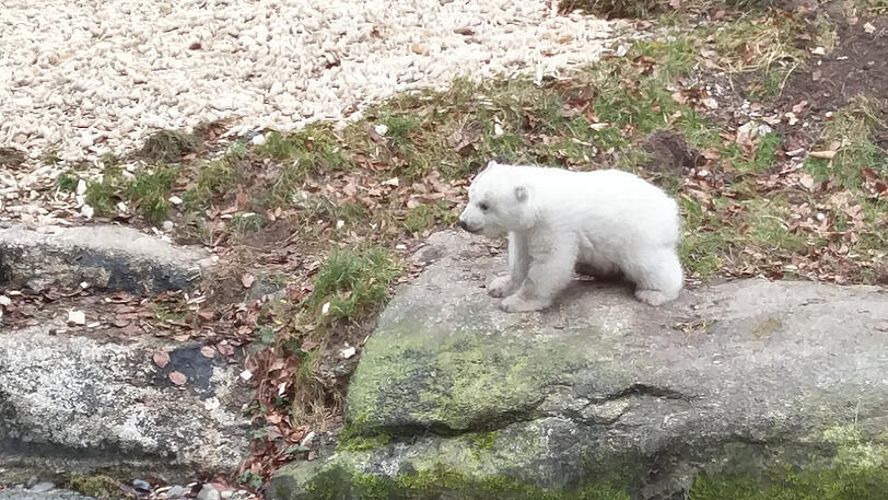 Nach einigen Minuten kamem Mutter und Tochter erneut nach draußen.
