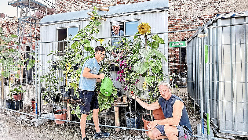 Grün und blühend statt grau und schmucklos: Die Lage an der Isarpromenade brachte Andreas Kreddig (am Fenster) auf die Idee, den Vorgarten des Bauwagens aufzuhübschen. Zusammen mit Sadeg Skandari (links) und Jens Schirmer kümmert er sich in den Pausen und nach Feierabend um die Blumen und das Gemüse.