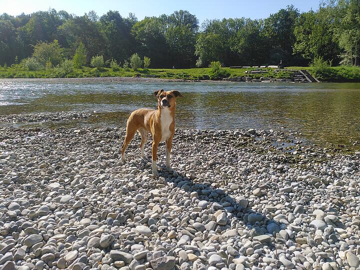 Lotti