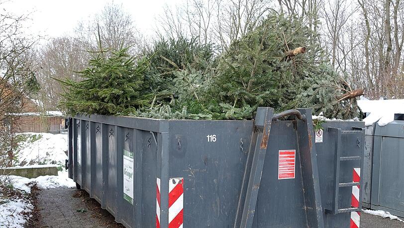 Die 39 Grüngut-Container im Stadtgebiet sind zu dieser Jahreszeit schnell mit den ausrangierten Christbäumen überfüllt. Die 39 Grüngut-Container im Stadtgebiet sind zu dieser Jahreszeit schnell mit den ausrangierten Christbäumen überfüllt.
