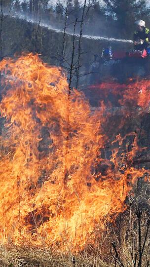 ...Spaziergänger hatten die Flammen bemerkt. Die Feuerwehr konnte die Brände löschen.