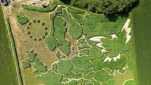 Das traditionelle Uttinger Feld-Labyrinth zeigt dieses Jahr Europa und eine Friedenstaube.
