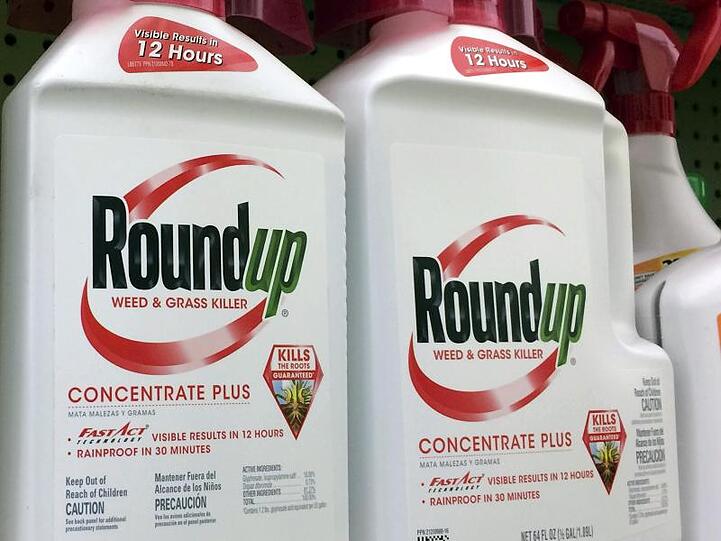 Behälter mit Roundup, einem Unkrautvernichter von Monsanto, stehen in einem Regal in einem Baumarkt.