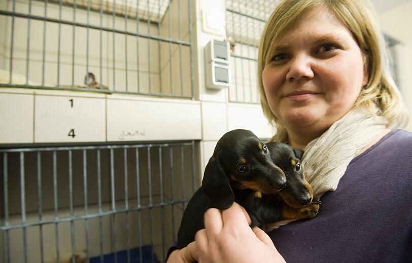 Tierheim-Leiterin Heike Weber mit zwei Dackel-Welpen.