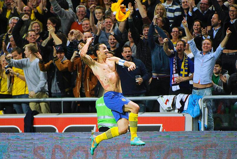 FIFA Puskás Award (schönstes Tor):
Zlatan Ibrahimovic (Schweden) &ndash; Fallrückzieher gegen England (4:2)