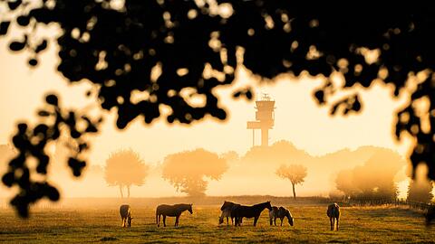 Nachdem sich die morgendliche K&uuml;hle verzogen hat, wird es wieder Sommer.