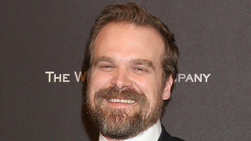 Ist ganz offensichtlich immer für einen Spaß zu haben: David Harbour.