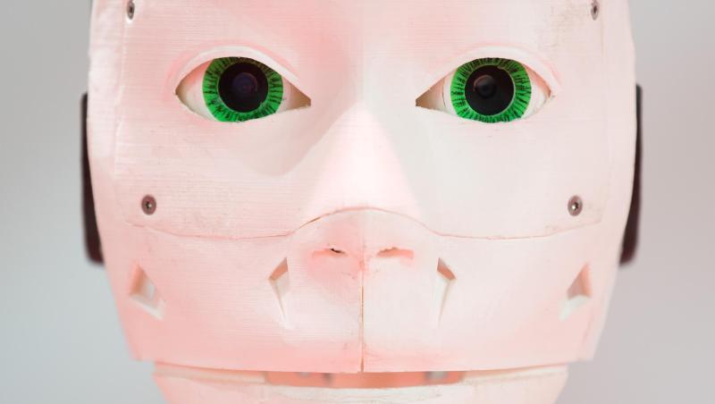Ein Robotergesicht aus dem 3D-Drucker steht am Stand von Vodafone bei der Digitalisierungsmesse Cebit. Foto: Julian Stratenschulte/dpa Ein Robotergesicht aus dem 3D-Drucker steht am Stand von Vodafone bei der Digitalisierungsmesse Cebit. Foto: Julian Stratenschulte/dpa