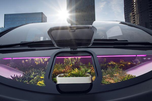 Garten an Bord: Im elektrisch und autonom fahrenden Gewächshaus von Rinspeed wächst und gedeiht es.