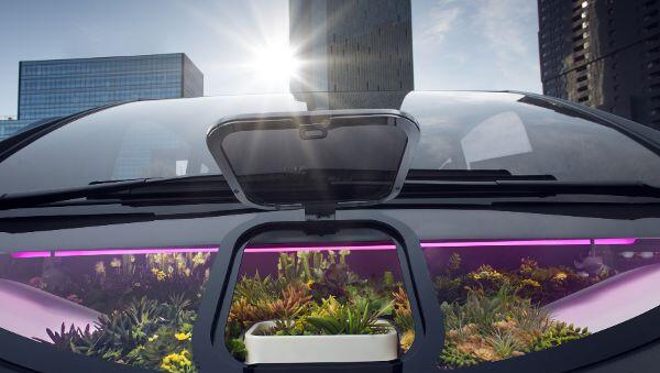 Garten an Bord: Im elektrisch und autonom fahrenden Gewächshaus von Rinspeed wächst und gedeiht es. Garten an Bord: Im elektrisch und autonom fahrenden Gewächshaus von Rinspeed wächst und gedeiht es.
