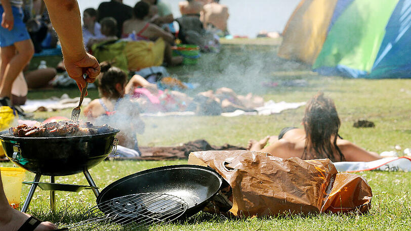 Die Grillkohle war rücksichtslos von Unbekannten neben eine Mülltonne in die Wiese gekippt worden. (Symbolbild)