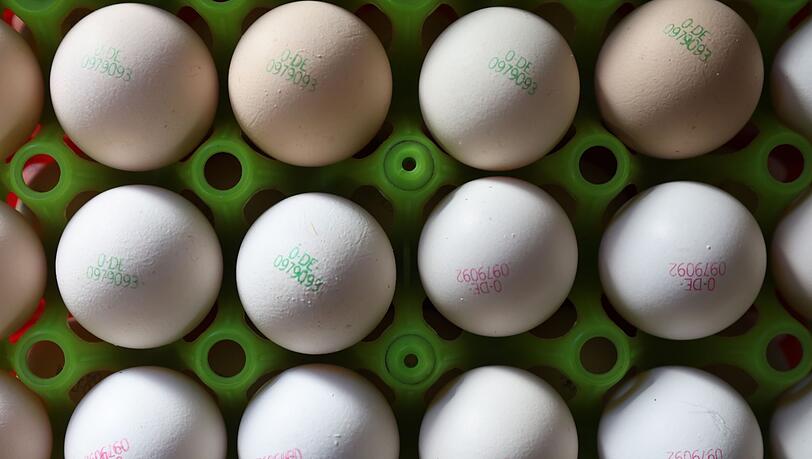 Das heimische Futter reicht nicht, um die Nachfrage nach Bio-Eiern zu bedienen. Deshalb sind die Bauern auf Importe angewiesen. (Symbolbild)