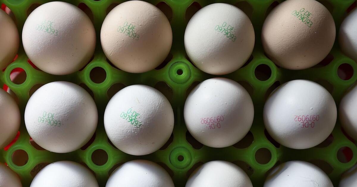 Weniger-Bio-Anbau-in-Bayern-trotz-hoher-Nachfrage