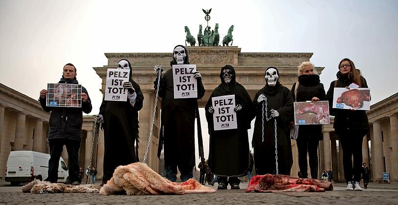 Mehrere verkleidete PETA-Aktivisten stehen am 21.11.2012 in Berlin vor dem Brandenburger Tor und halten Schilder mit der Aufschrift "Pelz ist tot" in der Hand. Die Tierrechtsorganisation fordert eine sofortige Abschaffung des Fangs von Pelztieren für die Pelzindustrie.