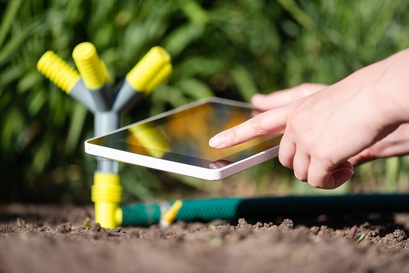Ob mit Schlauch, Gießkanne oder ein per App gesteuertes Bewässerungssystem - im September sollte die Wasserzufuhr für Ihre Beete gedrosselt werden. Die brütende Sommerhitze ist vorbei und die Sonnenstunden werden weniger. Wer jetzt weiter wie im August bewässert, riskiert Staunässe - und verschwendet Wasser. Deshalb sollte der Bewässerungsplan angepasst werden. Ob mit Schlauch, Gießkanne oder ein per App gesteuertes Bewässerungssystem - im September sollte die Wasserzufuhr für Ihre Beete gedrosselt werden. Die brütende Sommerhitze ist vorbei und die Sonnenstunden werden weniger. Wer jetzt weiter wie im August bewässert, riskiert Staunässe - und verschwendet Wasser. Deshalb sollte der Bewässerungsplan angepasst werden.