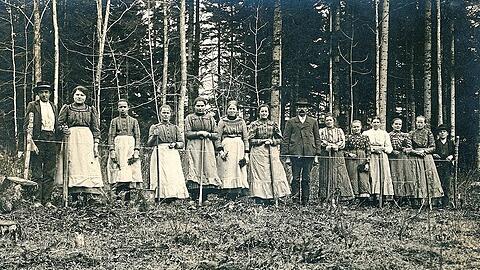 1915: Baumpflanzerinnen (auch Kulturfrauen genannt). Das Aufforsten war nötig, weil während der Kriege abgeholzt wurde. "So gedachte auch rund drei Jahrzehnte nach Entstehen dieser Abbildung die Rückseite der 50-Pfennig-Münze der Kulturfrauen", heißt es dazu. Das Foto stammt von Ludwig Hirsch aus Waldkirchen.