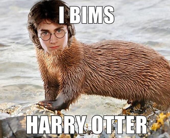 Harry Otter