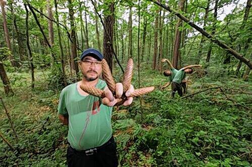 Kunst darf auch Spaß machen: im Vordergrund Ri Euung-Woo aus Korea, im Hintergrund Thomas May und Hiroshi Egamie, die ein Baum sind. Naja, fast.