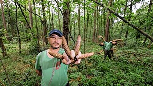 Kunst darf auch Spaß machen: im Vordergrund Ri Euung-Woo aus Korea, im Hintergrund Thomas May und Hiroshi Egamie, die ein Baum sind. Naja, fast. Kunst darf auch Spaß machen: im Vordergrund Ri Euung-Woo aus Korea, im Hintergrund Thomas May und Hiroshi Egamie, die ein Baum sind. Naja, fast.
