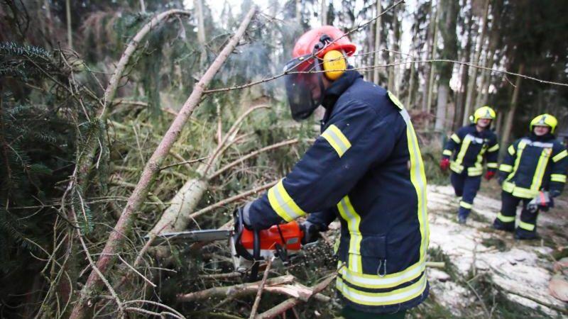 Feuerwehrleute beseitigen Sturmschäden. Foto: Bodo Schackow/Archivbild
