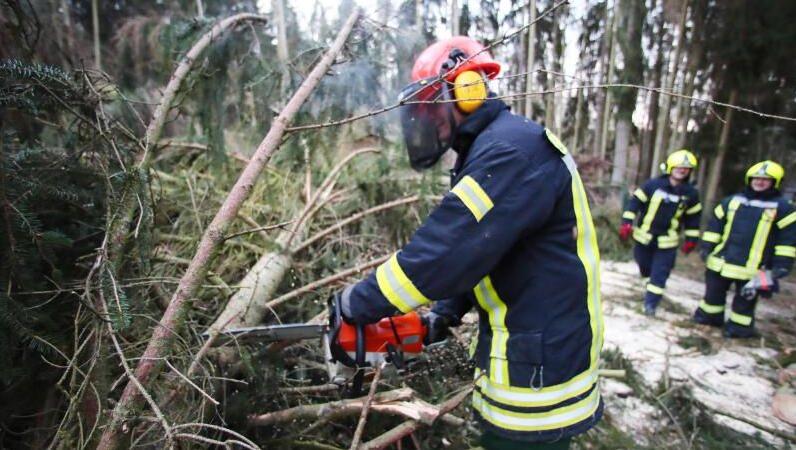 Feuerwehrleute beseitigen Sturmschäden. Foto: Bodo Schackow/Archivbild Feuerwehrleute beseitigen Sturmschäden. Foto: Bodo Schackow/Archivbild
