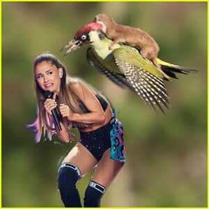 Sängerin Ariana Grande sieht nicht gerade begeistert aus, und duckt sich lieber vor den Beiden.