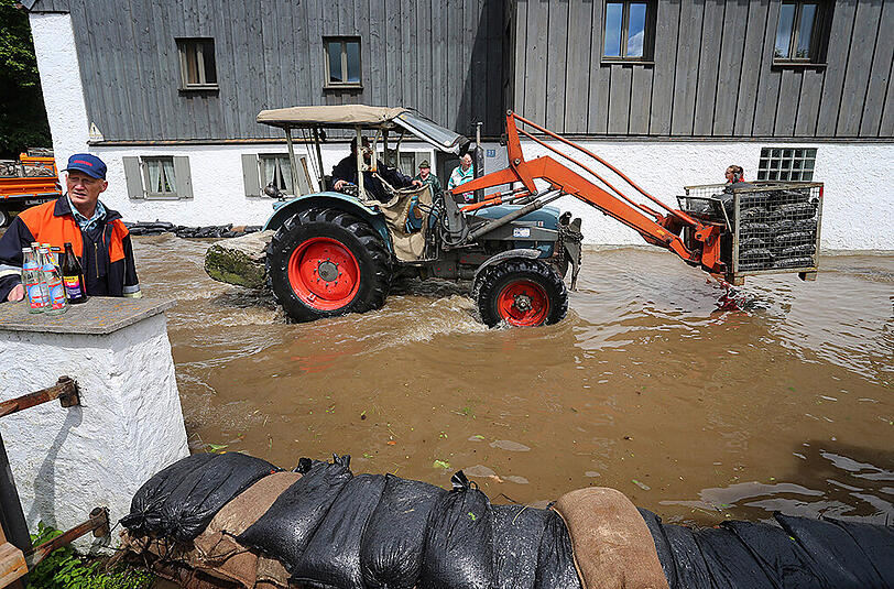 Weitere Bilder aus Polling