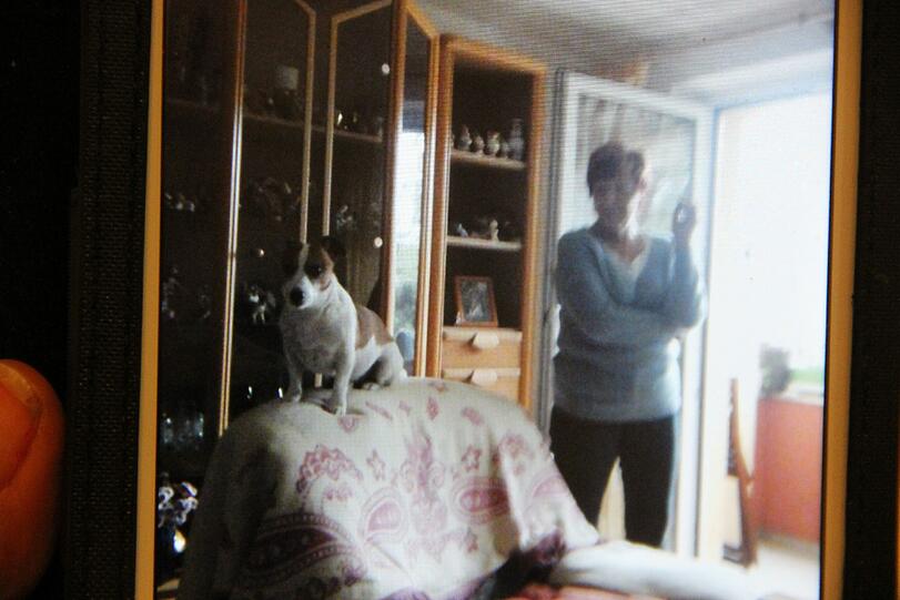 Hund des Anstoßes: Der Jack Russell Terrier Rocky.