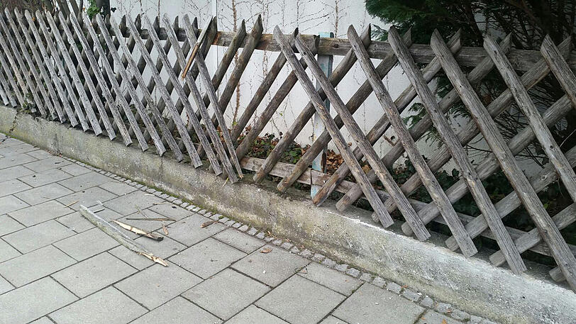 Am Zaun dann das zweite.