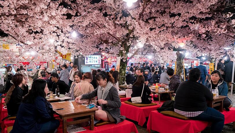 Im Frühling sorgen die Kirschbäume Kyotos für ein unvergleichliches Naturschauspiel. Im Ranking ist die Stadt nur einer von drei Orten aus Japan, die sich einen Top-Rang schnappen. Im Frühling sorgen die Kirschbäume Kyotos für ein unvergleichliches Naturschauspiel. Im Ranking ist die Stadt nur einer von drei Orten aus Japan, die sich einen Top-Rang schnappen.