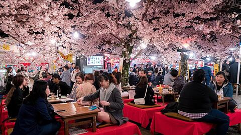Im Fr&uuml;hling sorgen die Kirschb&auml;ume Kyotos f&uuml;r ein unvergleichliches Naturschauspiel. Im Ranking ist die Stadt nur einer von drei Orten aus Japan, die sich einen Top-Rang schnappen.