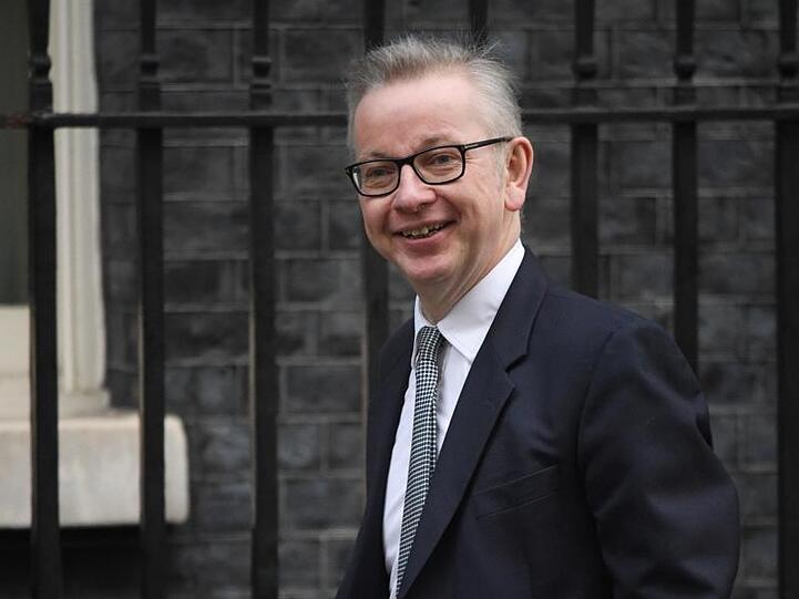 Michael Gove, Umweltminister von Großbritannien, kommt zur Kabinettssitzung in die Downing Street.