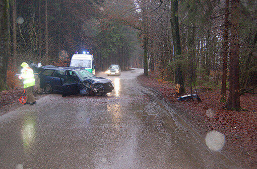Am Ford entstand Totalschaden, der Baum wurde nur leicht beschädigt.