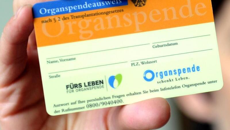 Eine Frau hält einen Organspendeausweis in der Hand. Foto: Caroline Seidel/dpa/Archivbild Eine Frau hält einen Organspendeausweis in der Hand. Foto: Caroline Seidel/dpa/Archivbild