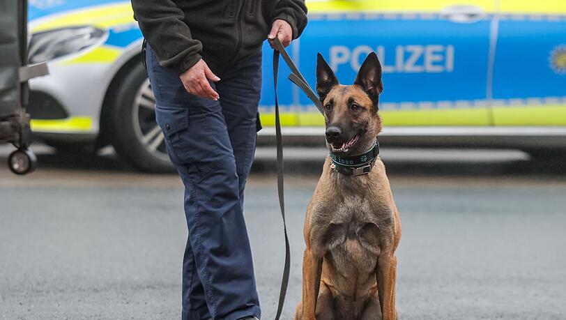 Wegen des Umfangs und der Art der Ladung wurde das Auto bei einer Dienststelle detailliert kontrolliert und mit einem Diensthund durchsucht. (Symbolbild)