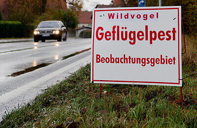 Bei der aktuellen Epidemie breitet sich das Virus nun auch in Deutschland aus.