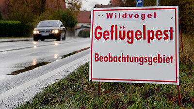 Bei der aktuellen Epidemie breitet sich das Virus nun auch in Deutschland aus.