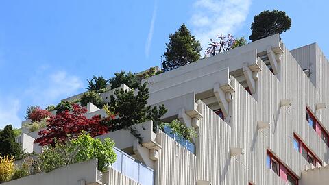 Beton dominiert: der denkmalgesch&uuml;tzte Fuchsbau mit seinen &uuml;ppig begr&uuml;nten Balkonen.