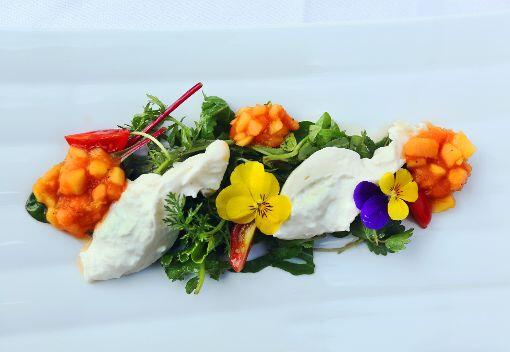 Der 1. Gang: Burrata mit Papaya-Salsa auf Wildkräutersalat. Klicken Sie sich hier durch das ganze Menü...