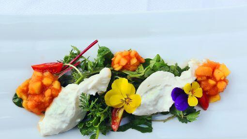 Der 1. Gang: Burrata mit Papaya-Salsa auf Wildkräutersalat. Klicken Sie sich hier durch das ganze Menü... Der 1. Gang: Burrata mit Papaya-Salsa auf Wildkräutersalat. Klicken Sie sich hier durch das ganze Menü...