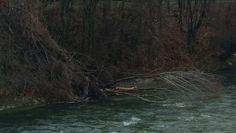 Bilder vom Donnerstagmorgen an der Isar zwischen Wittelsbacher- und Reichenbachbrücke.