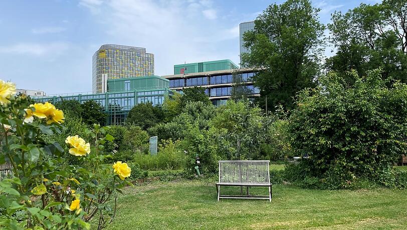 Nicht weit vom ADAC-Hochhaus: ein unerwartet grüner Rückzugsort. Nicht weit vom ADAC-Hochhaus: ein unerwartet grüner Rückzugsort.