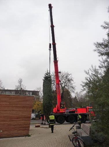 Am Thalkirchner Platz wird bald wieder der Christbaum aufgestellt.