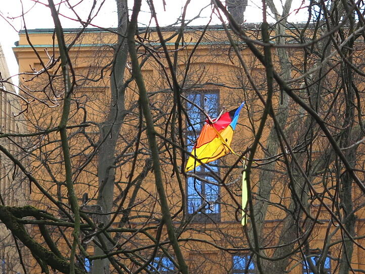 Die Eiche hat einen Winddrachen verschluckt.
