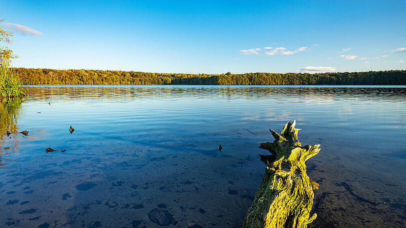 Der Müritz-Nationalpark lockt mit einer grandiosen Landschaft