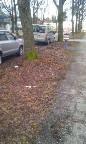 Straßen- und Grünstreifenpflege: Fehlanzeige. Die Bilder zum Durchklicken.