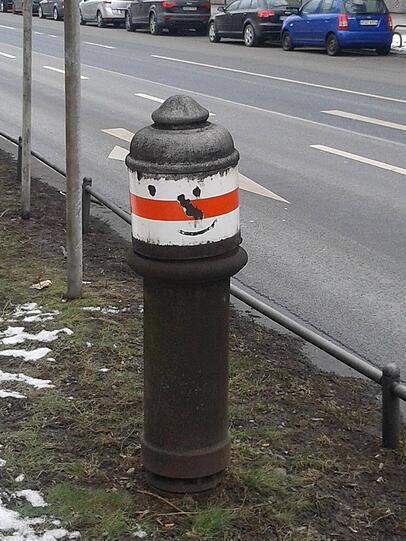 Zum Abschluss kein Tier, aber ein seltenes Exemplar eines Hydranten vom Typ "Alter Münchner". Falls Sie ähnliche Bilder haben, dann schicken Sie sie doch an leserfoto@az-muenchen.de