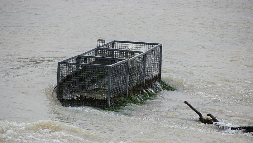 Die Isar führt Hochwasser: Die Bilder! Die Isar führt Hochwasser: Die Bilder!